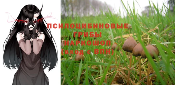 дурь Володарск