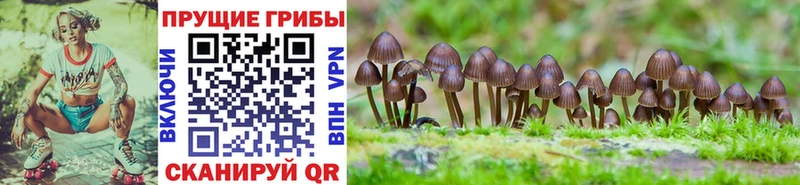 Галлюциногенные грибы Magic Shrooms  Купить  Яблоновский 